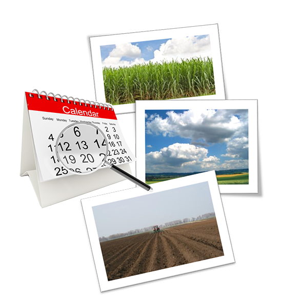 Logotipo, Ambientes de Produção Dinâmicos de Cana-de-Açúcar.