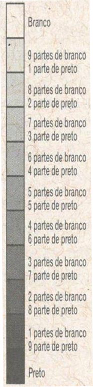 Figura 2. Valores ou tonalidades das cores da tabela Munsell.