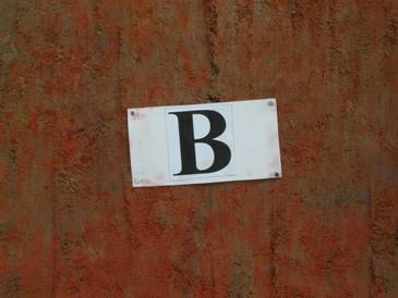 Figura 4.Colora&ccedil;&atilde;o variegada do solo.