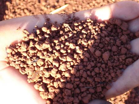 Figura 5. Microagrega&ccedil;&atilde;o intensa da fra&ccedil;&atilde;o argila do Latossolo Vermelho &aacute;crico textura muito argilosa.