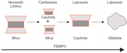 Figura 2.Transformações dos minerais de argila no solo ao longo do tempo.
