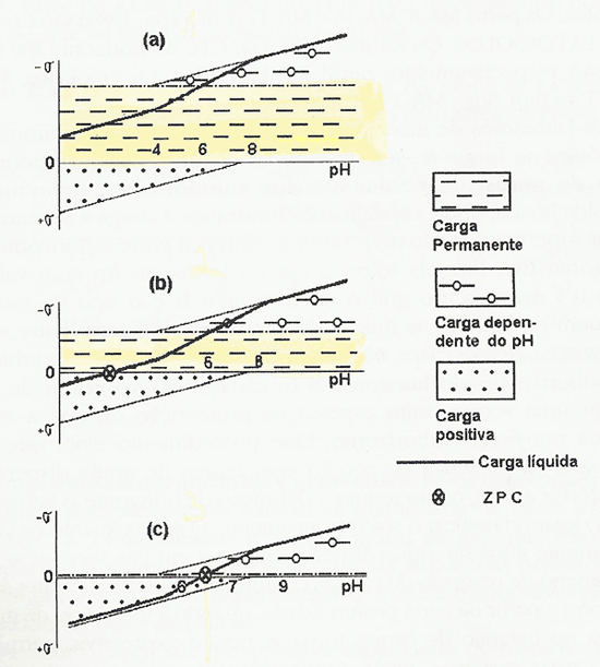 Figura 3. Balanço de cargas elétricas no solo (Wambeke, 1974).