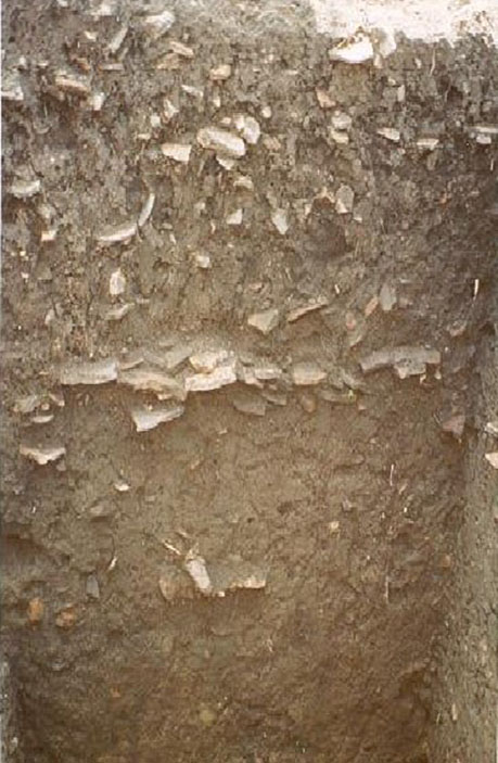 Figura 4. Horizonte A antrópico.