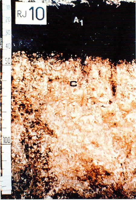 Figura 5. A chernozêmico com espessura além do mínimo de 10 cm.